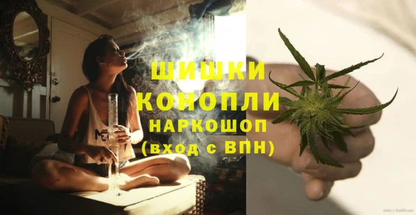 трава Аркадак