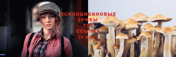 тгк Армянск