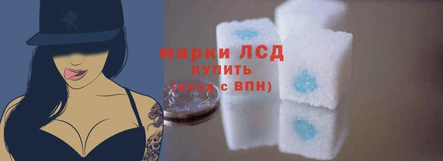 трава Аркадак