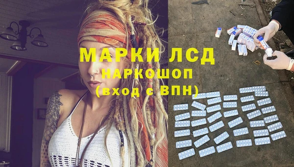 трава Аркадак
