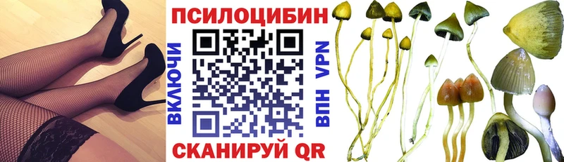 наркота  omg ССЫЛКА  Псилоцибиновые грибы GOLDEN TEACHER  Николаевск-на-Амуре 