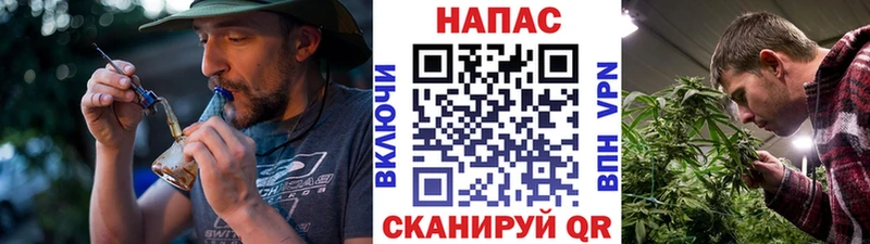 как найти закладки  Николаевск-на-Амуре  Бошки Шишки марихуана 